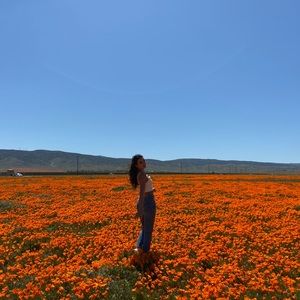 Meet your Posher, Shir